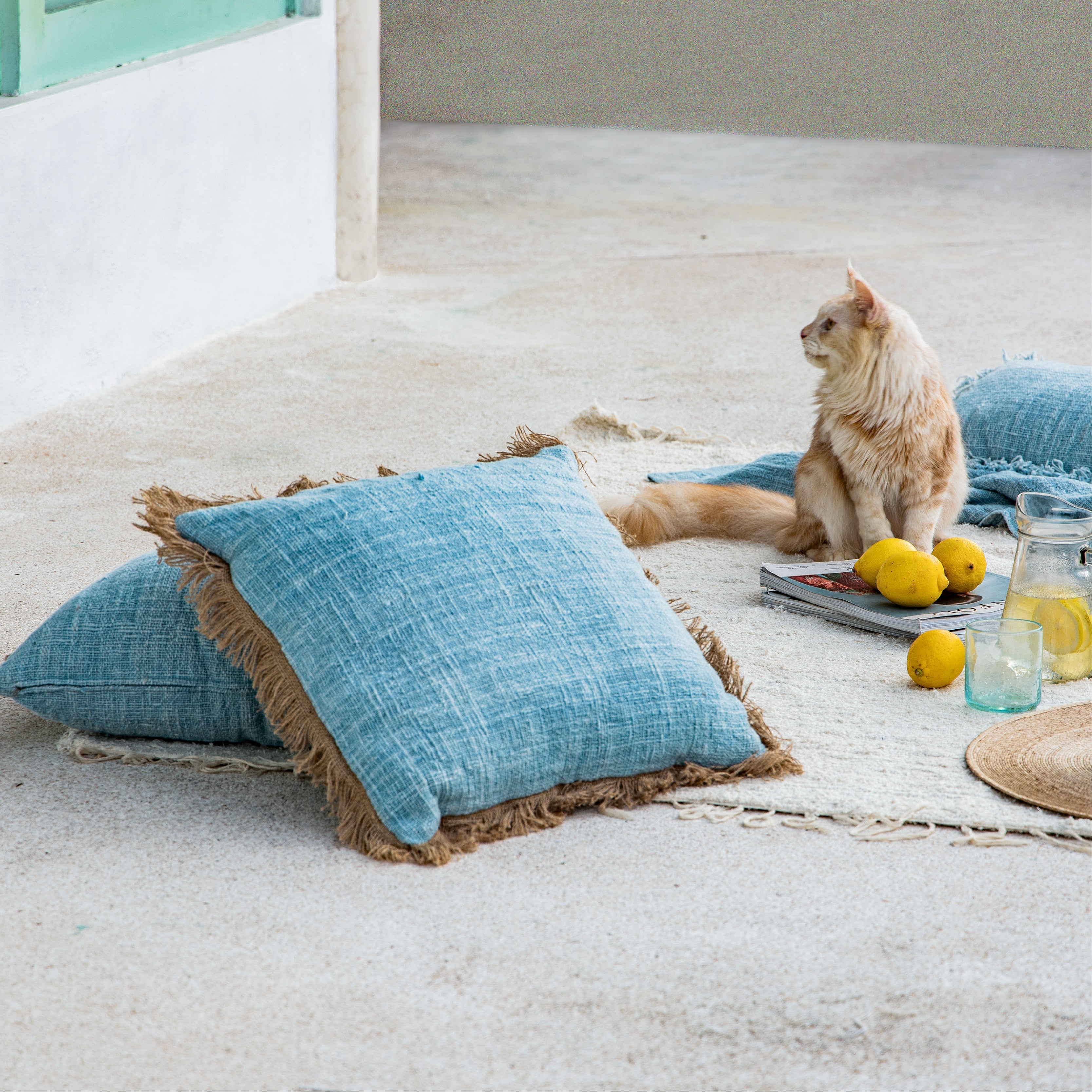 Cushion