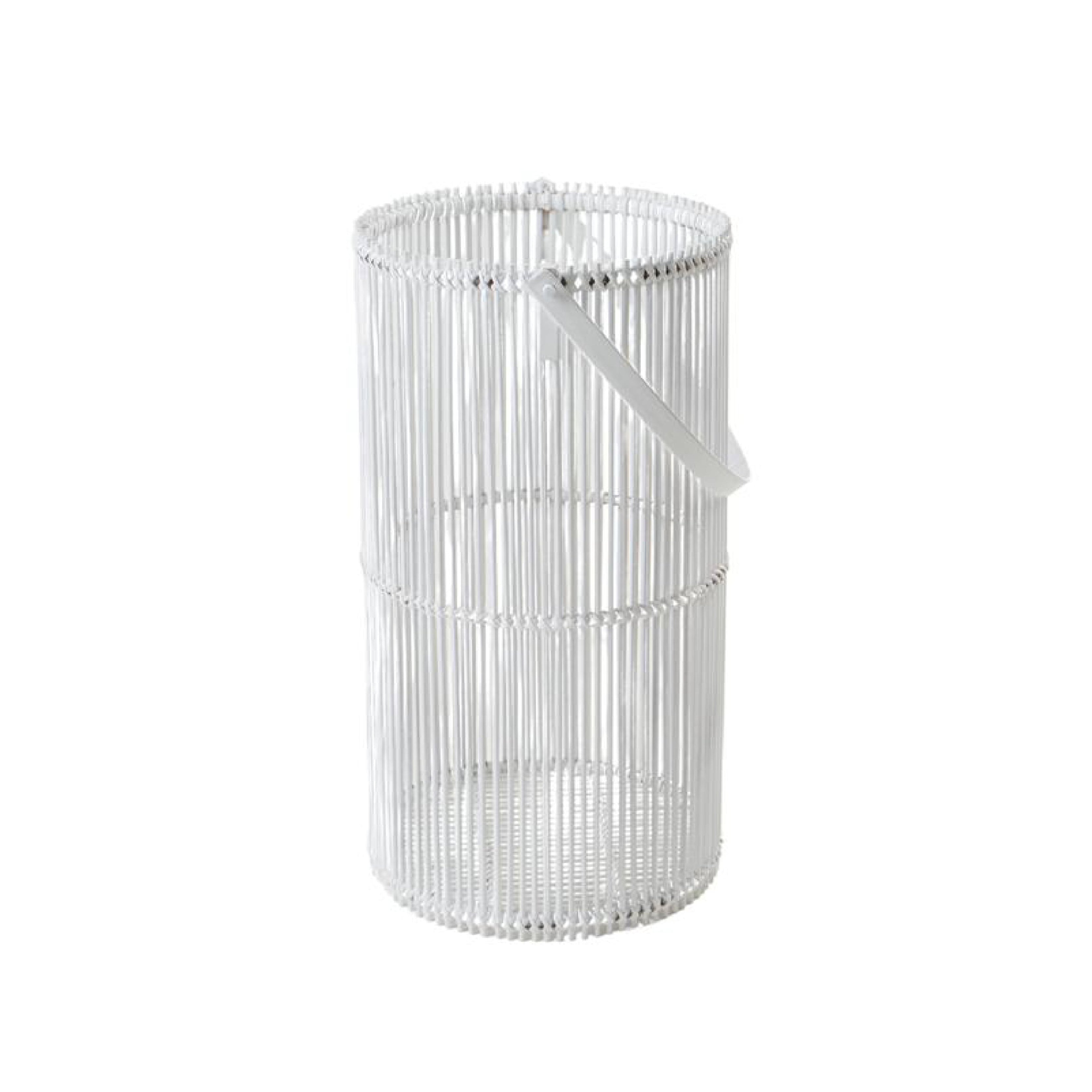 Plaga Lantern L