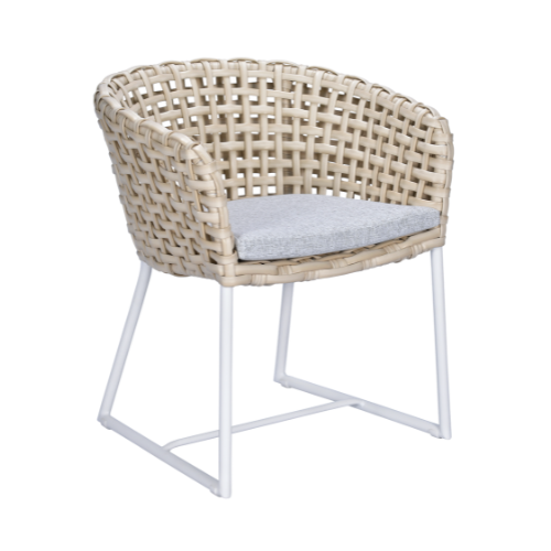 Fabion Beach Dining Armchair