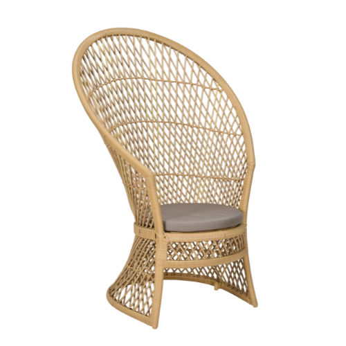 Micaela Lounge Chair