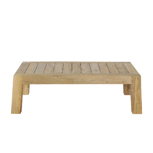 Bone Coffee Table