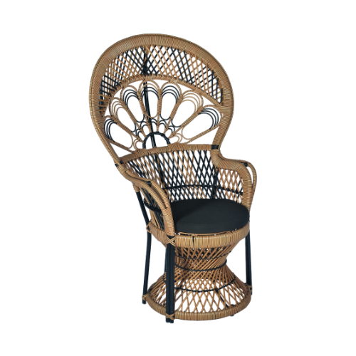Peacock Chair