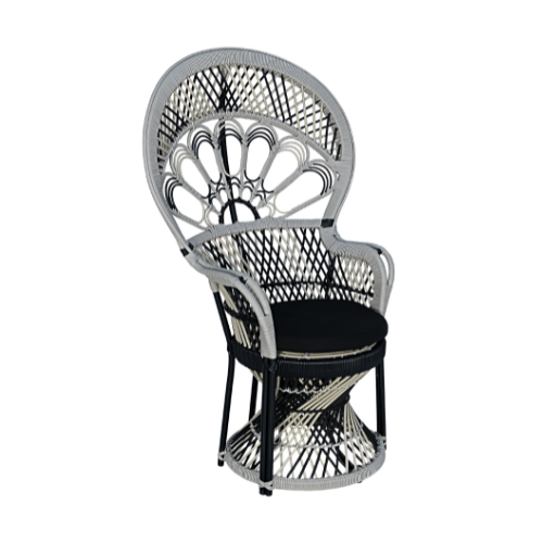 Peacock Chair