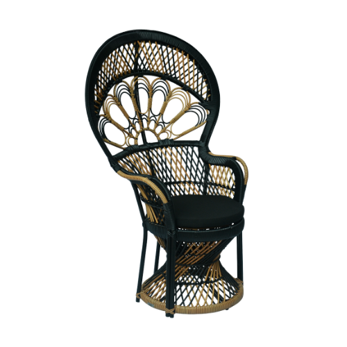 Peacock Chair