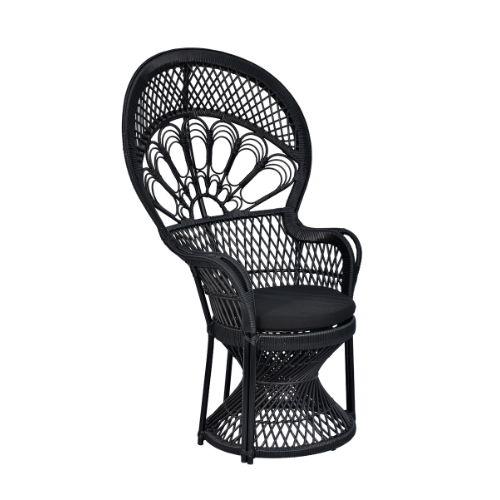 Peacock Chair