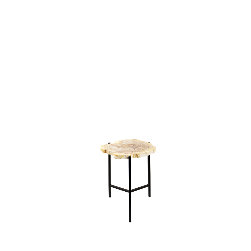 Petrified Corner Table 50