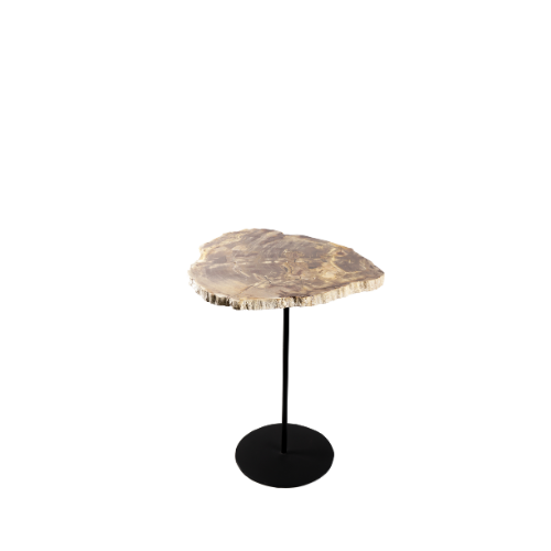 Petrified Pole Table 40