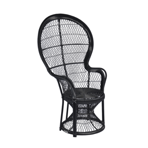 Raja Chair
