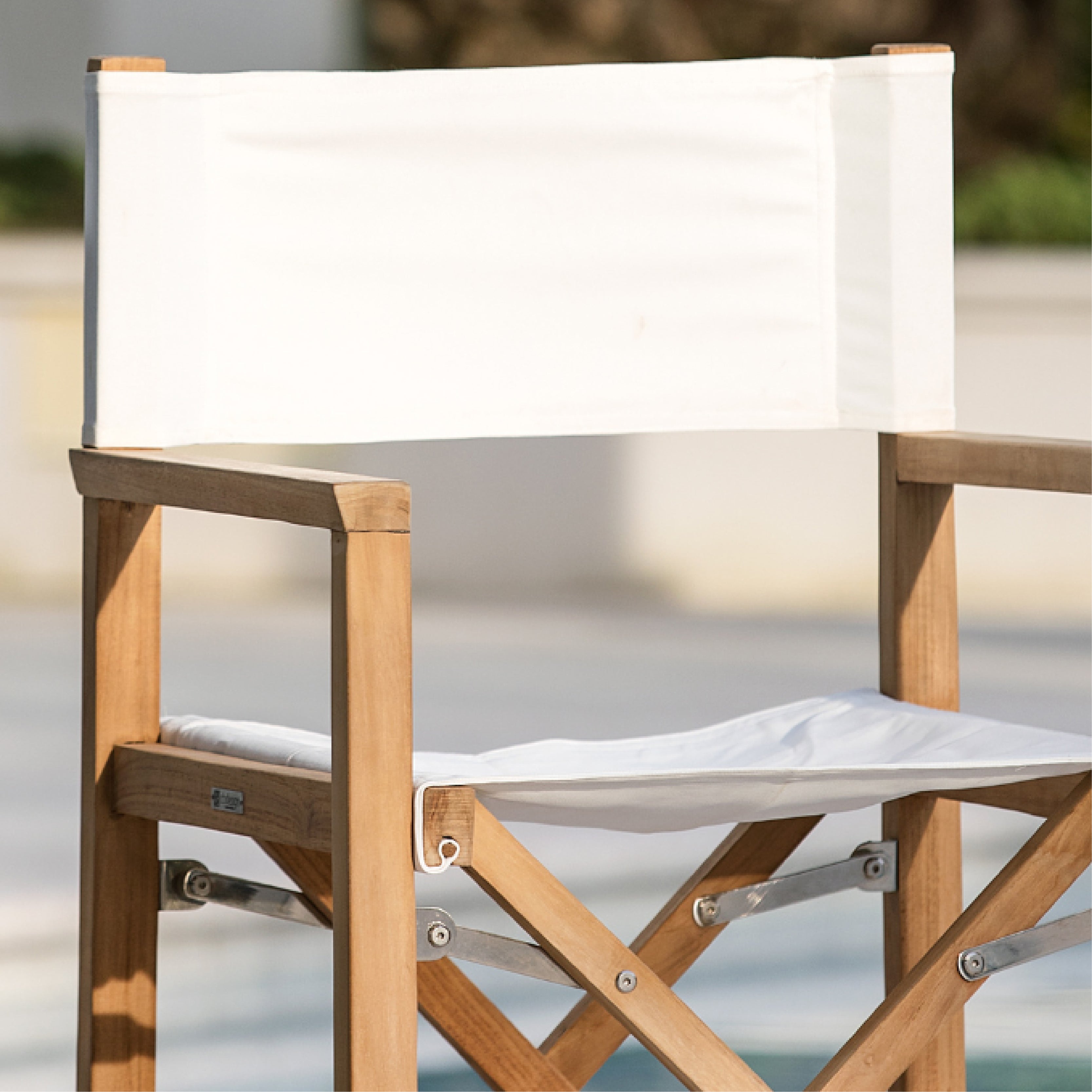 Director Chair