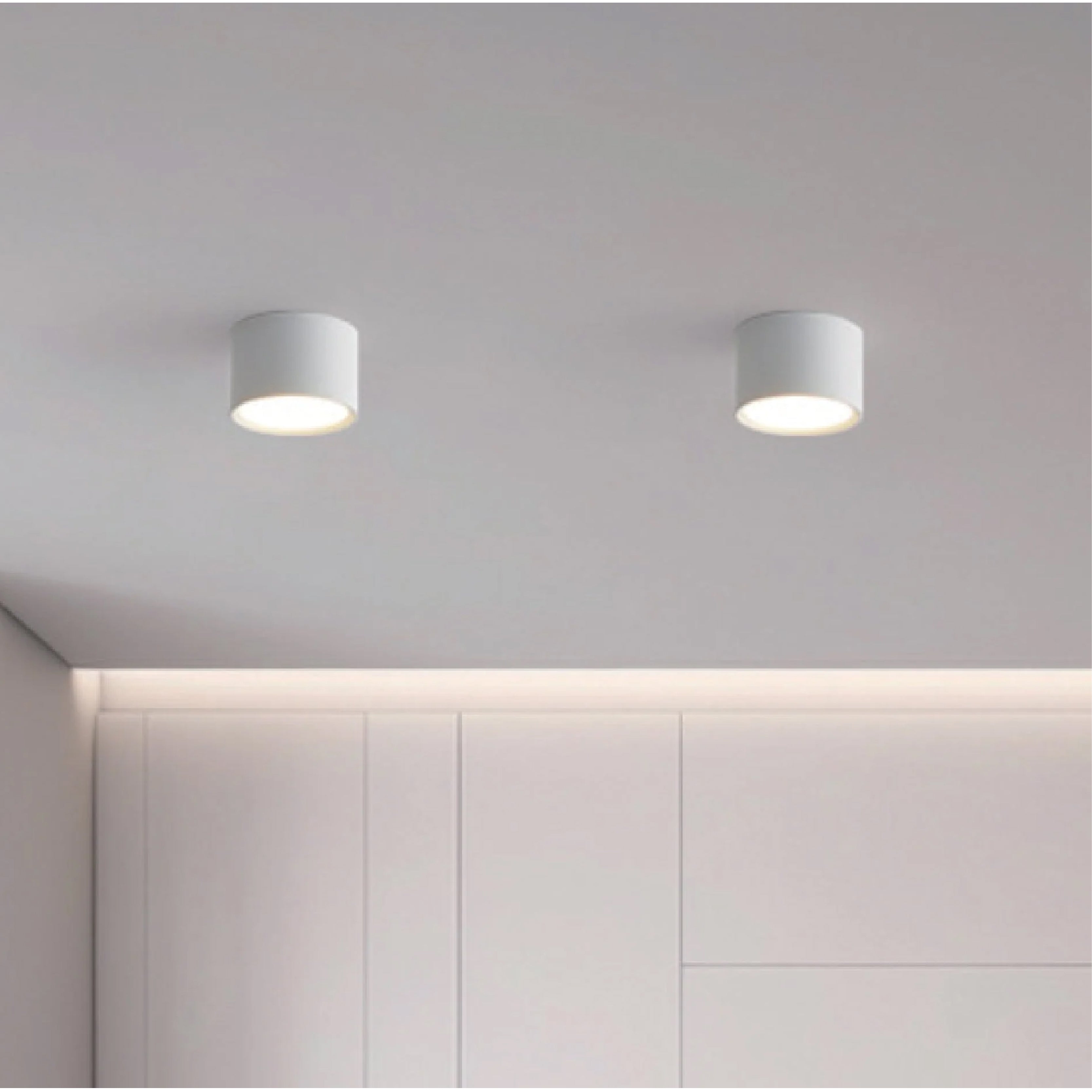 Ceiling Mount