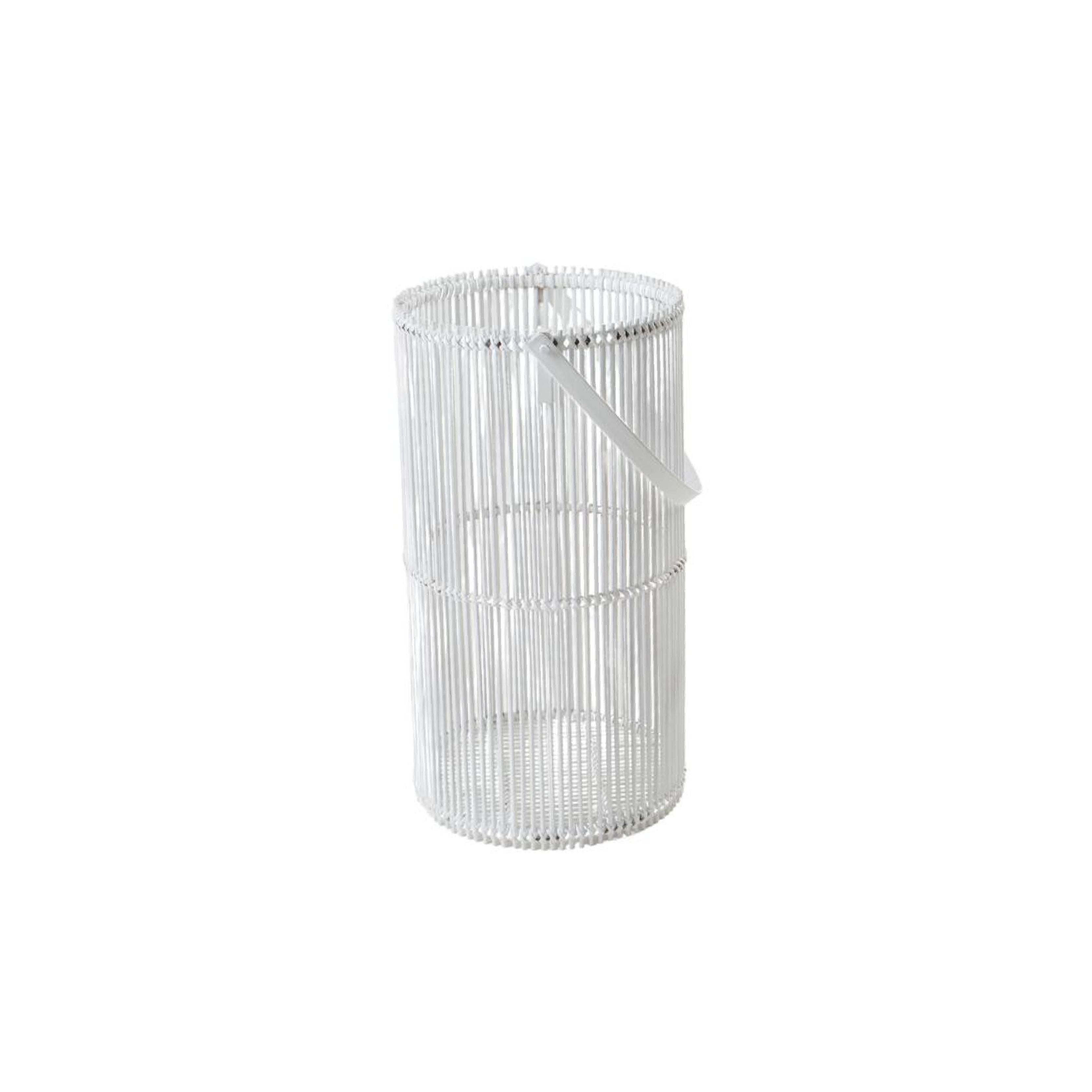 Plaga Lantern S