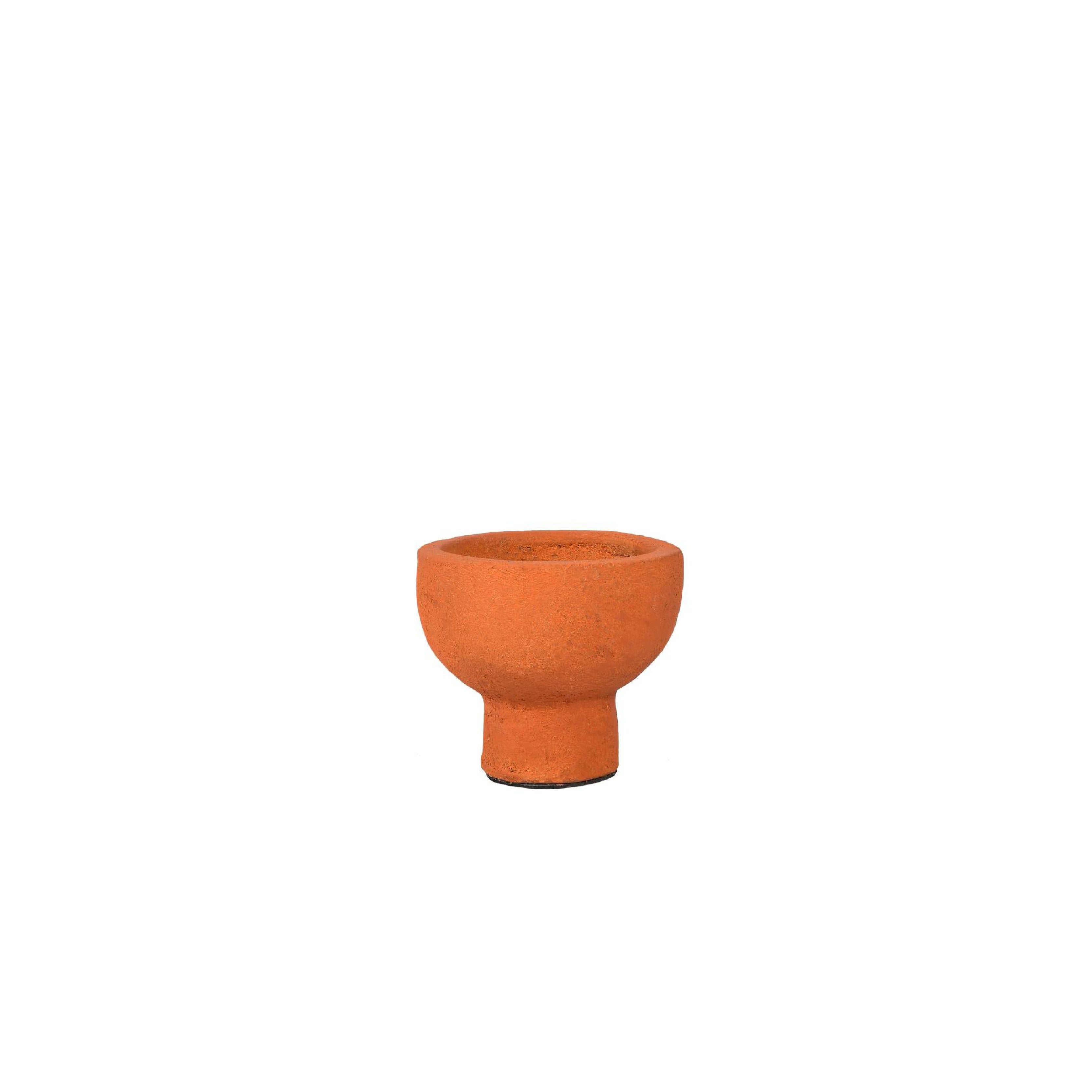 Cinira