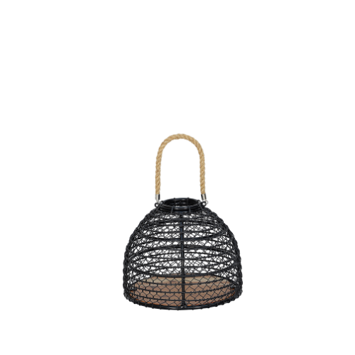 Rina Lantern L