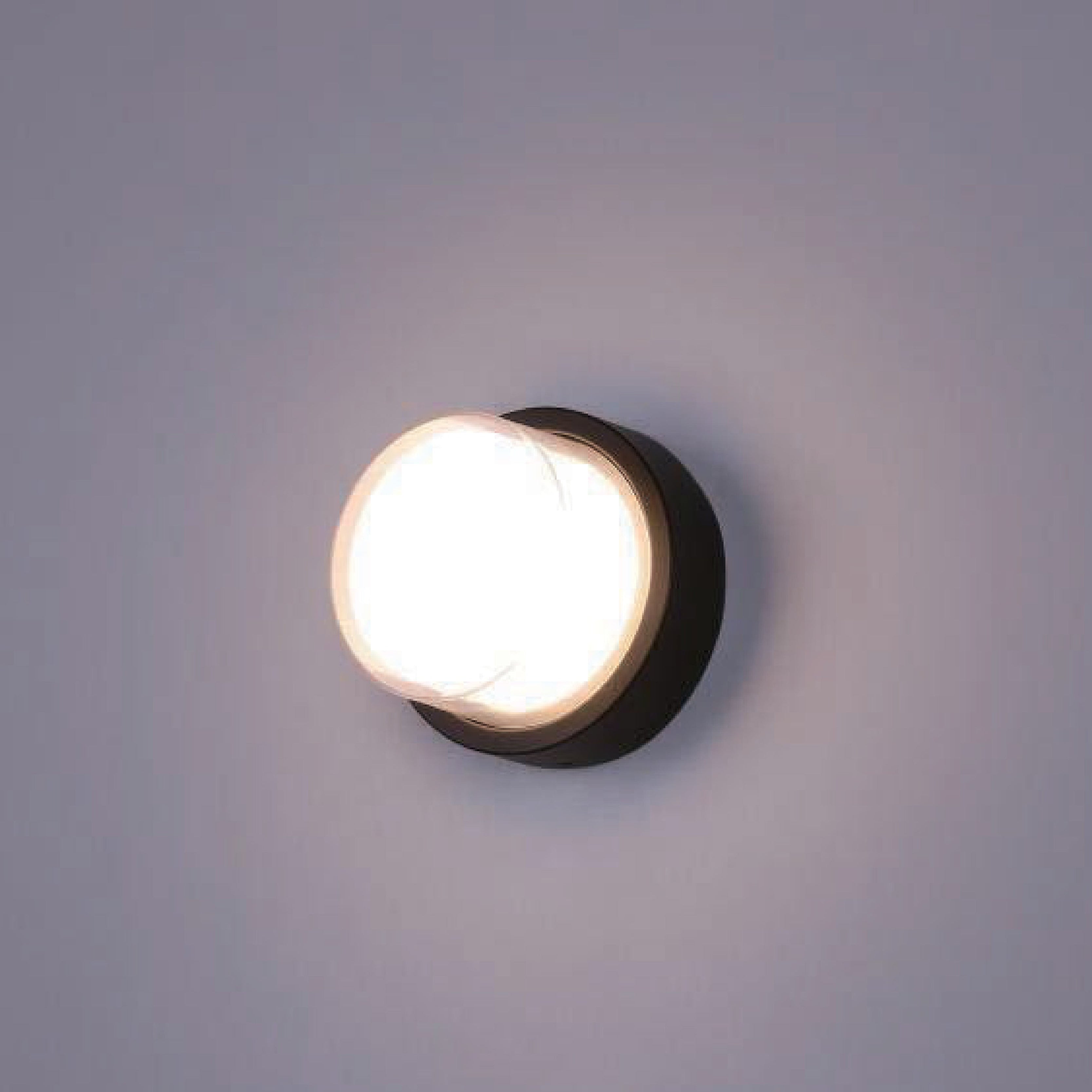 Indoor Wall Light LD2288A Great Wall torch