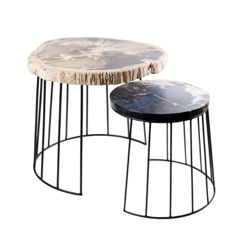 Thea Petrified Coffee Table