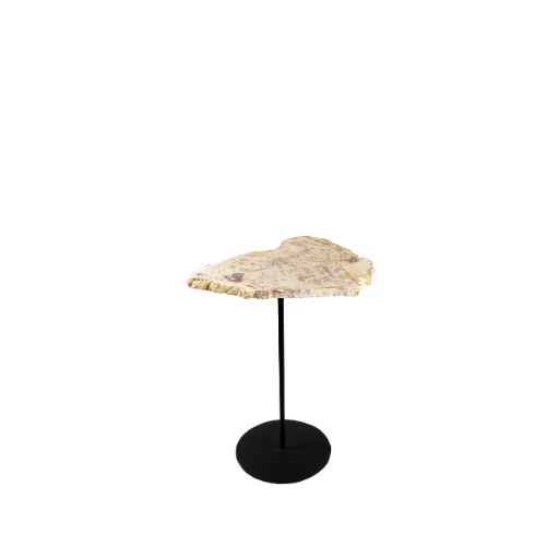 Petrified Pole Table 50